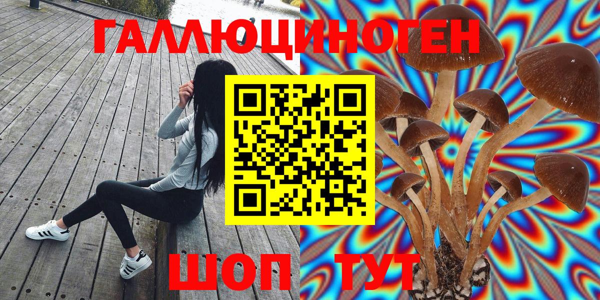 Псилоцибиновые грибы мицелий Россия